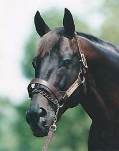 Obrazek