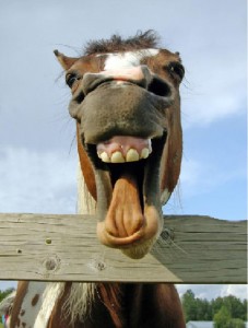 Obrazek